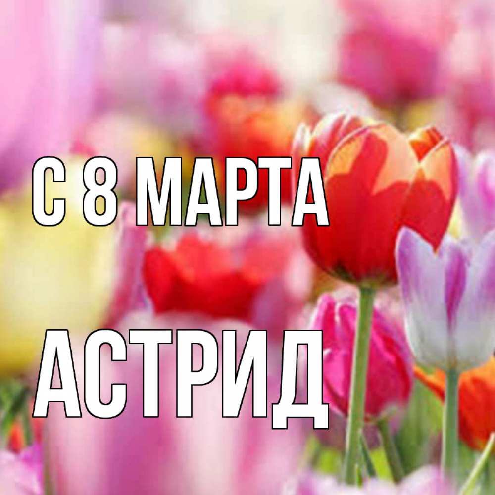 Открытка на каждый день с именем, Астрид С 8 марта на международный женский день 2 Прикольная открытка с пожеланием онлайн скачать бесплатно 