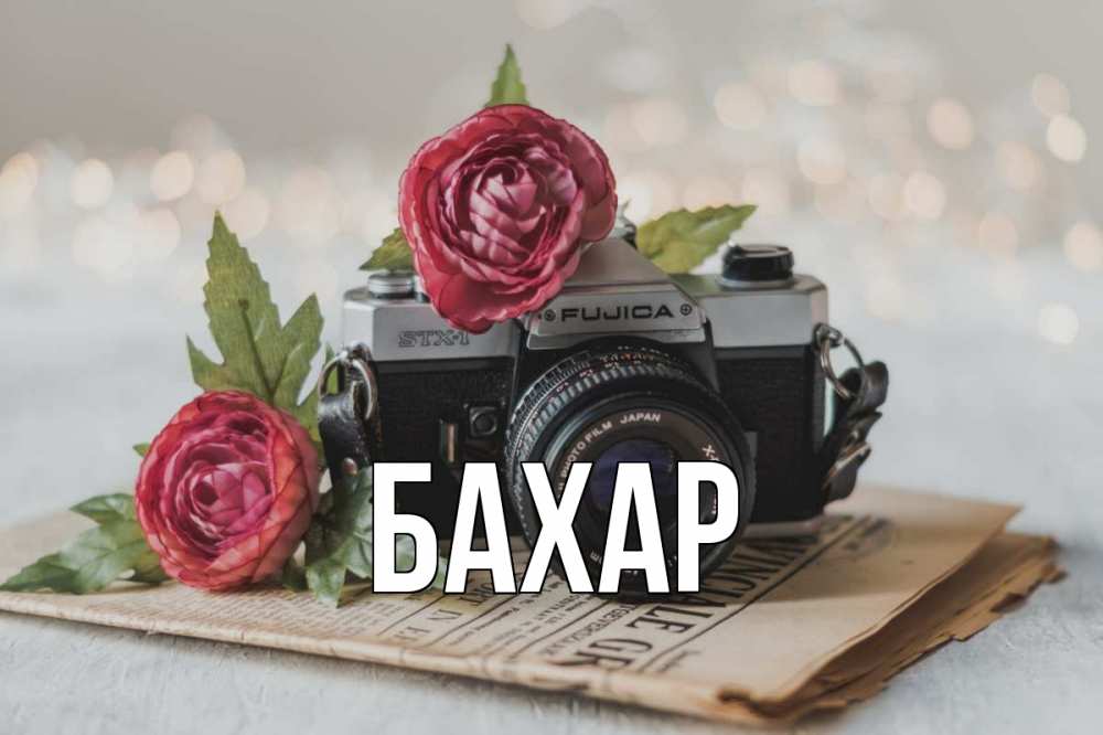 Открытка на каждый день с именем, Бахар Главная с днем фотографа Прикольная открытка с пожеланием онлайн скачать бесплатно 