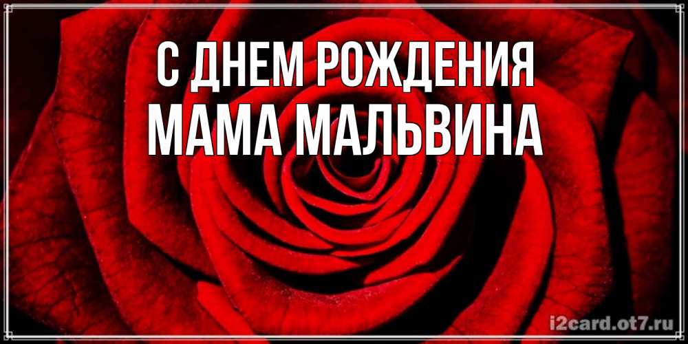 Открытка на каждый день с именем, Мама-Мальвина С днем рождения алая роза Прикольная открытка с пожеланием онлайн скачать бесплатно 