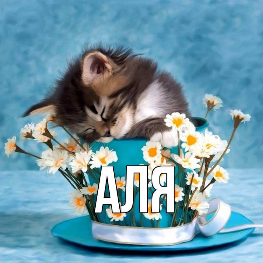 Открытка на каждый день с именем, Аля Главная котенок спит в кружке с блюдцем Прикольная открытка с пожеланием онлайн скачать бесплатно 
