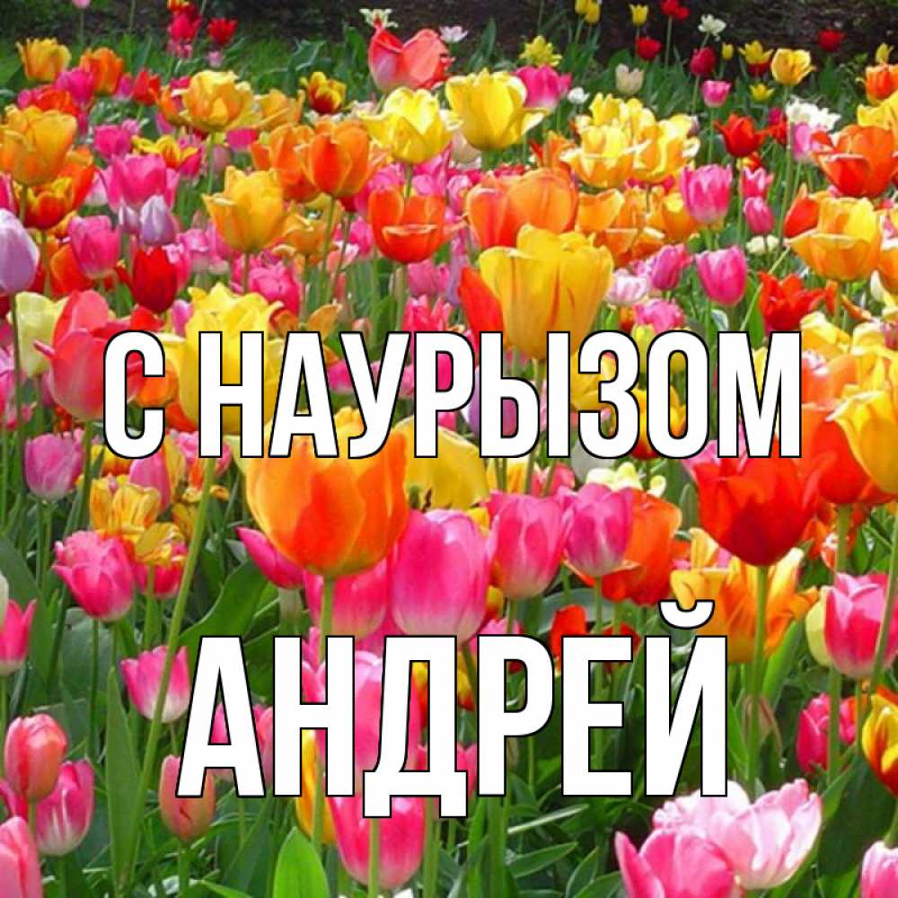Открытка на каждый день с именем, Андрей С наурызом праздник весны наурыз 4 Прикольная открытка с пожеланием онлайн скачать бесплатно 