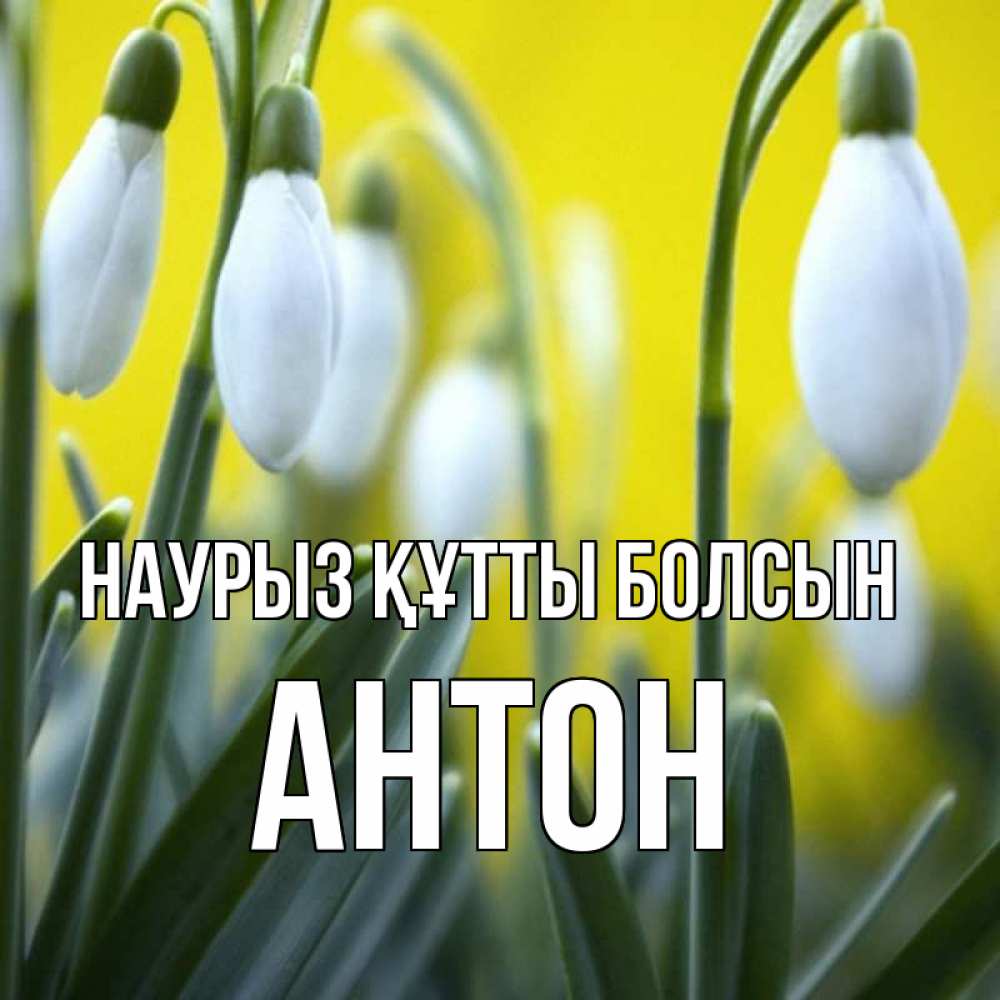 Открытка на каждый день с именем, Антон Наурыз құтты болсын весенние цветы Прикольная открытка с пожеланием онлайн скачать бесплатно 