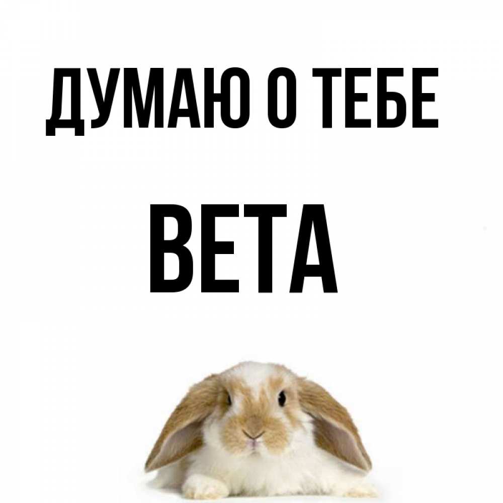 Открытка на каждый день с именем, Вета Думаю о тебе подписать своими руками онлайн Прикольная открытка с пожеланием онлайн скачать бесплатно 