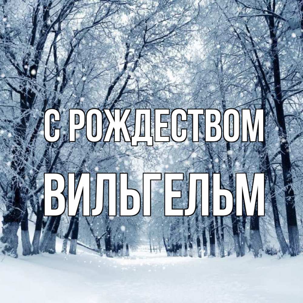 Открытка на каждый день с именем, Вильгельм С рождеством снег, лес, парк Прикольная открытка с пожеланием онлайн скачать бесплатно 