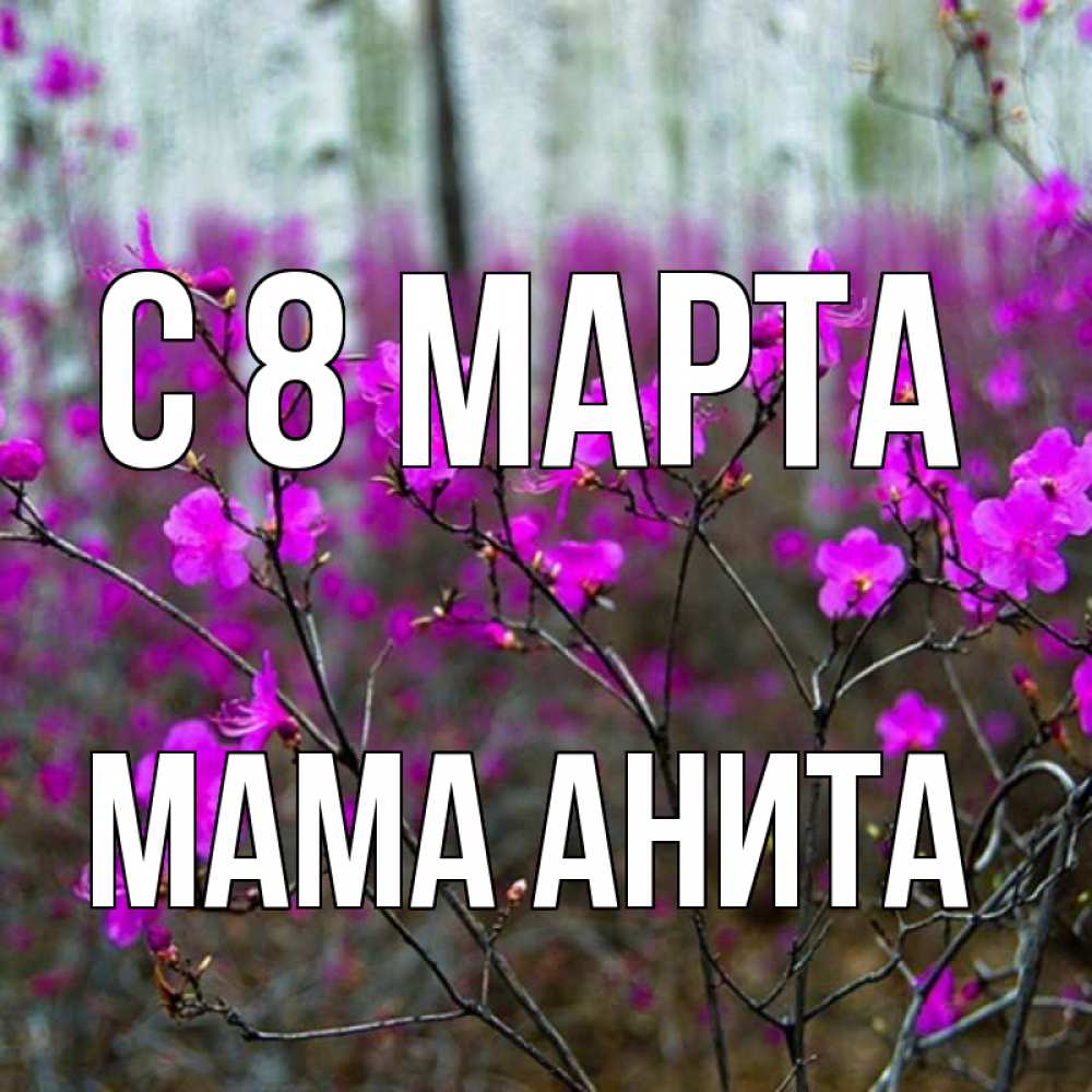 Открытка на каждый день с именем, Мама-Анита С 8 МАРТА дикие цветы Прикольная открытка с пожеланием онлайн скачать бесплатно 