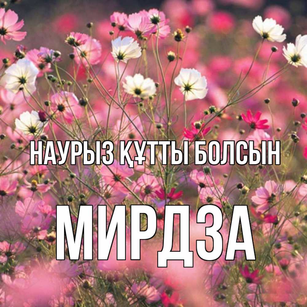 Открытка на каждый день с именем, Мирдза Наурыз құтты болсын красиво 1 Прикольная открытка с пожеланием онлайн скачать бесплатно 