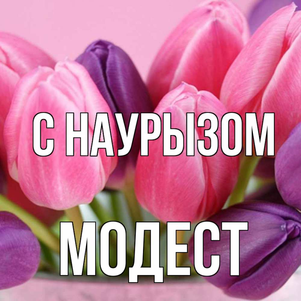 Открытка на каждый день с именем, Модест С наурызом маме 1 Прикольная открытка с пожеланием онлайн скачать бесплатно 