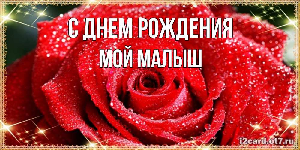 Открытка на каждый день с именем, Мой-малыш С днем рождения роса и роза. открытка с красивой розой Прикольная открытка с пожеланием онлайн скачать бесплатно 