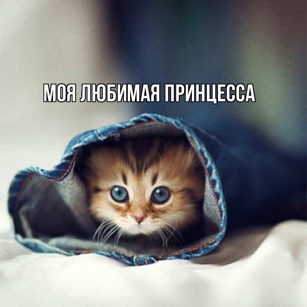 Открытка на каждый день с именем, Моя-Любимая-Принцесса Главная мне без тебя плохо Прикольная открытка с пожеланием онлайн скачать бесплатно 