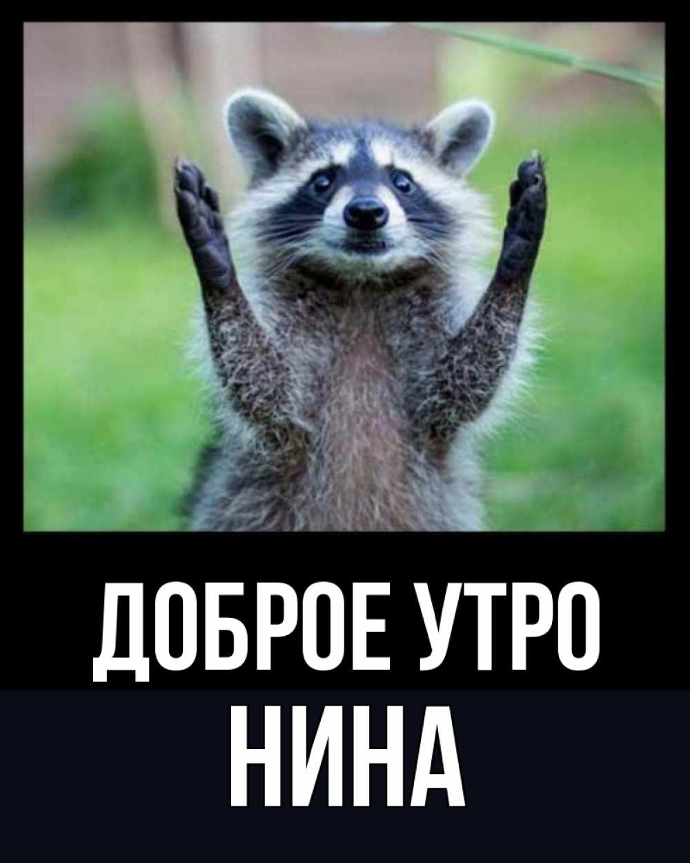 Открытка на каждый день с именем, Нина Доброе утро хорошее настроение утречком Прикольная открытка с пожеланием онлайн скачать бесплатно 