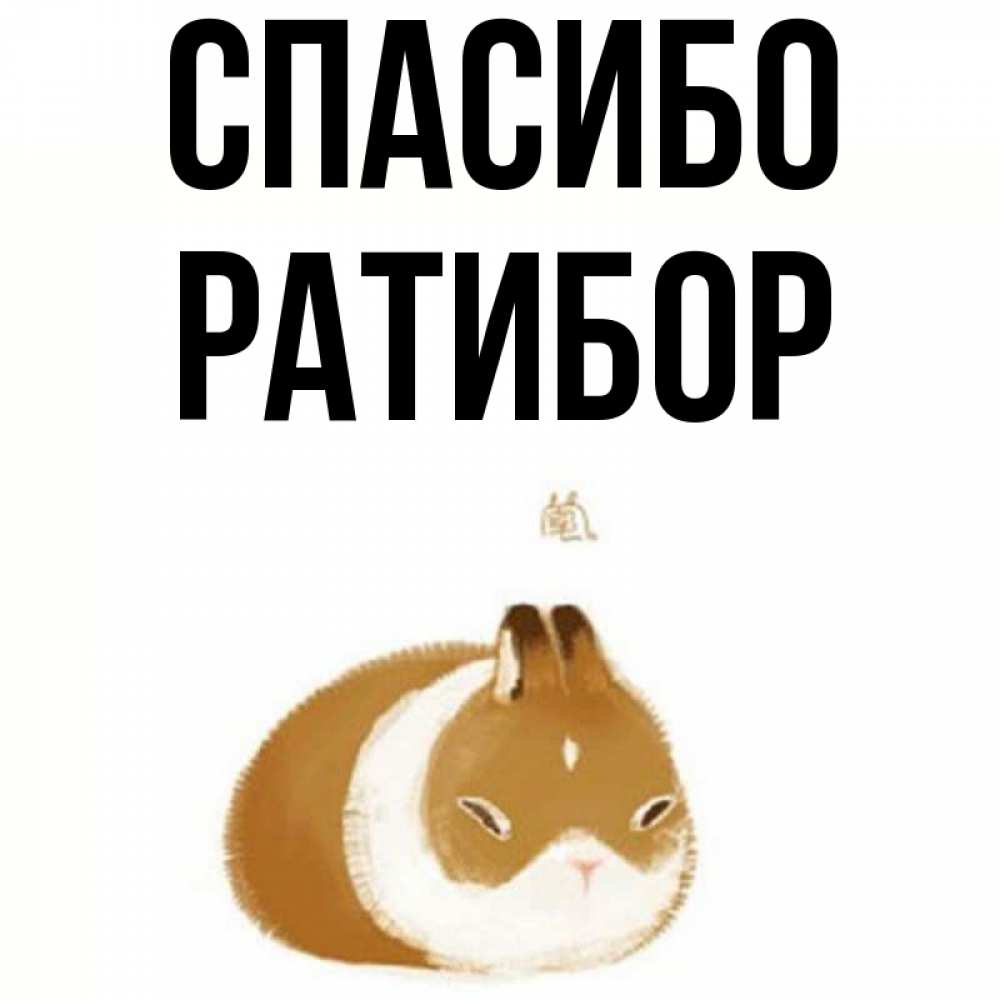 Открытка на каждый день с именем, Ратибор Спасибо коричнево белый домашний питомец Прикольная открытка с пожеланием онлайн скачать бесплатно 