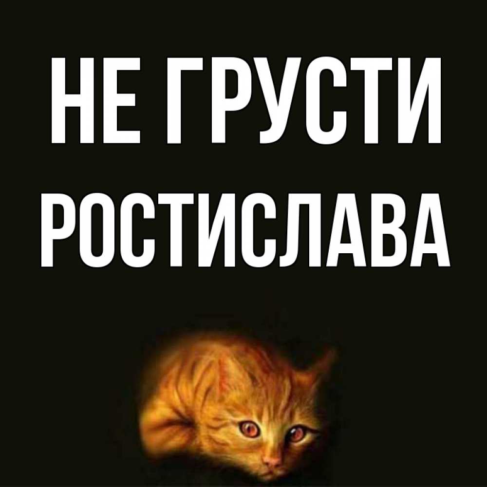 Открытка на каждый день с именем, Ростислава Не грусти лежащий кот в темноте Прикольная открытка с пожеланием онлайн скачать бесплатно 
