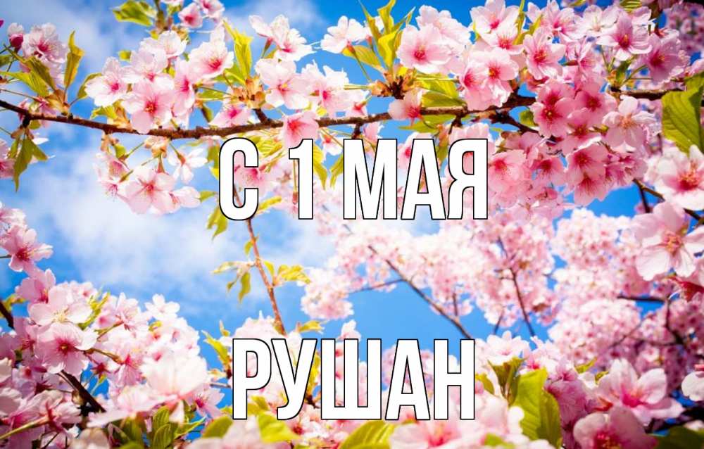 Открытка на каждый день с именем, Рушан С 1 мая С 1 мая Прикольная открытка с пожеланием онлайн скачать бесплатно 
