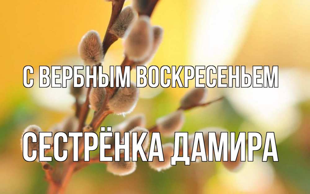 Открытка на каждый день с именем, Сестрёнка-Дамира С вербным воскресеньем верба Прикольная открытка с пожеланием онлайн скачать бесплатно 