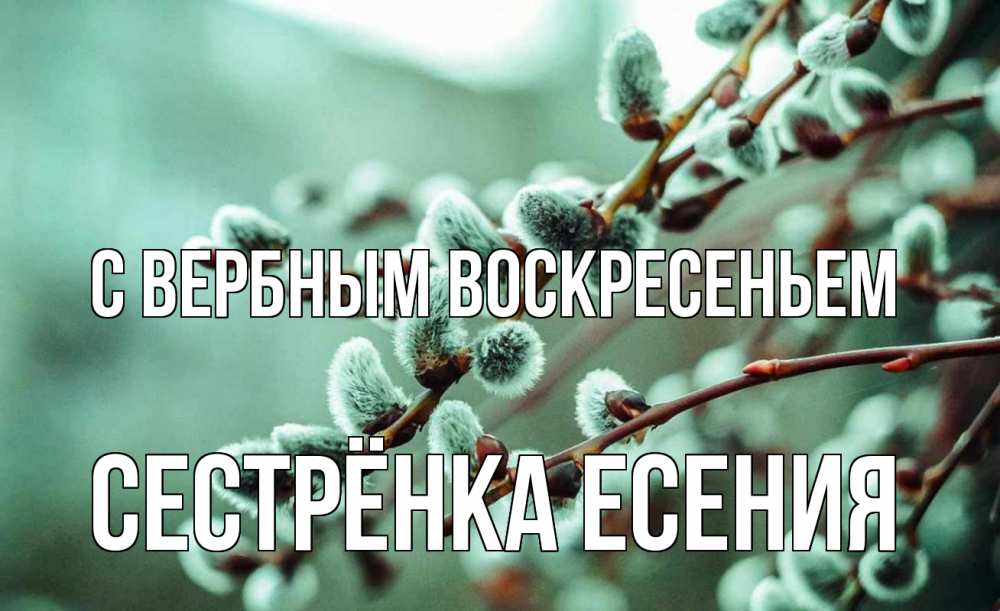 Открытка на каждый день с именем, Сестрёнка-Есения С вербным воскресеньем верба Прикольная открытка с пожеланием онлайн скачать бесплатно 