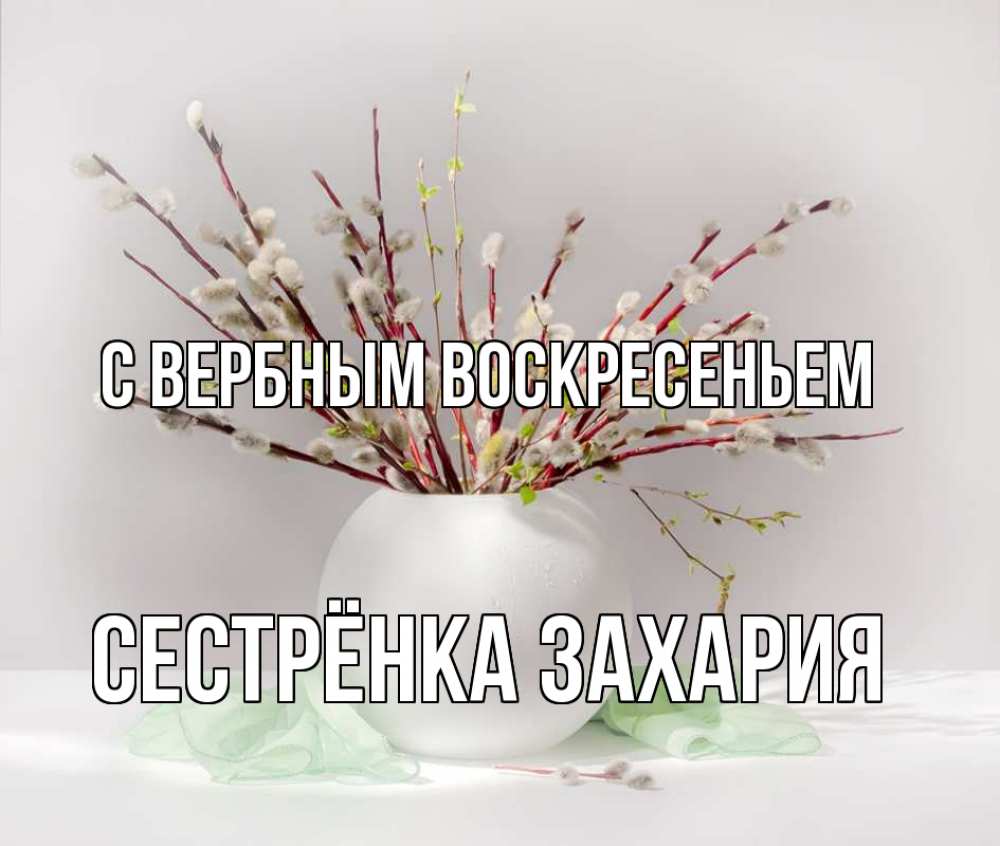 Открытка на каждый день с именем, Сестрёнка-Захария С вербным воскресеньем верба Прикольная открытка с пожеланием онлайн скачать бесплатно 