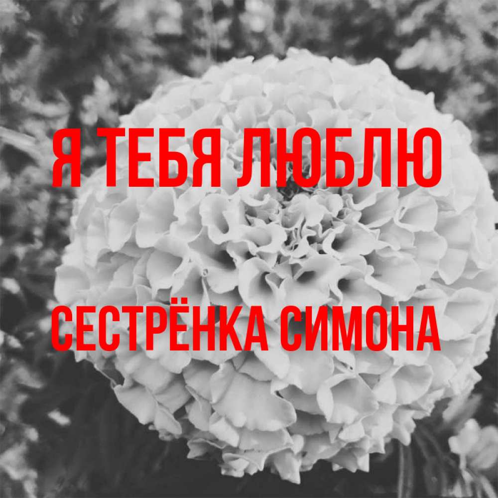 Открытка на каждый день с именем, Сестрёнка-Симона Я тебя люблю подпись Прикольная открытка с пожеланием онлайн скачать бесплатно 