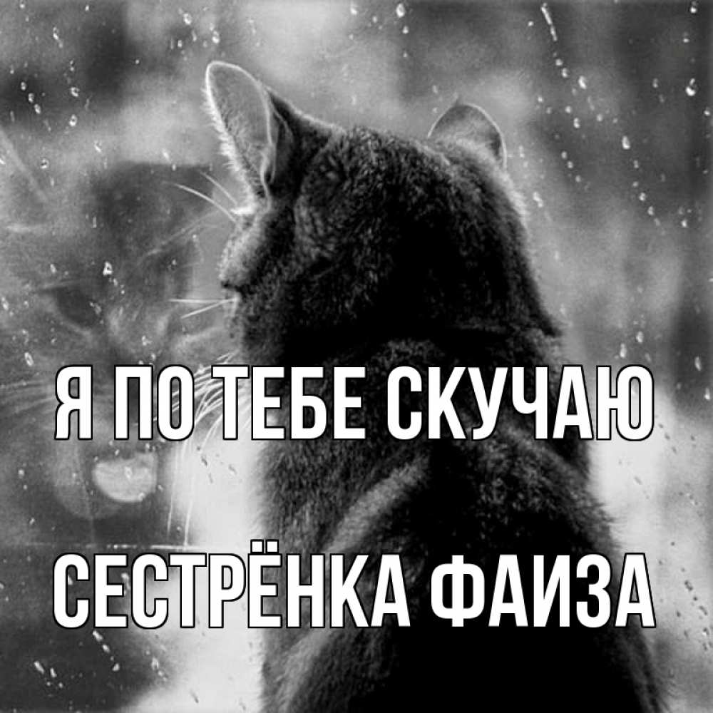 Открытка на каждый день с именем, Сестрёнка-Фаиза Я по тебе скучаю скорее ко мне приходи 1 Прикольная открытка с пожеланием онлайн скачать бесплатно 