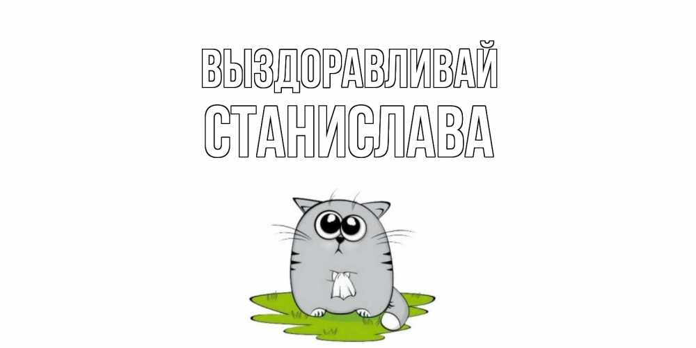 Открытка на каждый день с именем, Станислава Выздоравливай кот и открытки про выздоровление Прикольная открытка с пожеланием онлайн скачать бесплатно 