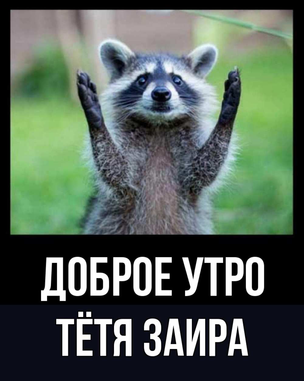 Открытка на каждый день с именем, Тётя-Заира Доброе утро хорошее настроение утречком Прикольная открытка с пожеланием онлайн скачать бесплатно 