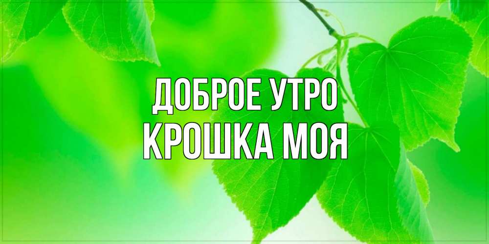 Открытка на каждый день с именем, Крошка-моя Доброе утро доброе утро с березовыми листьями Прикольная открытка с пожеланием онлайн скачать бесплатно 