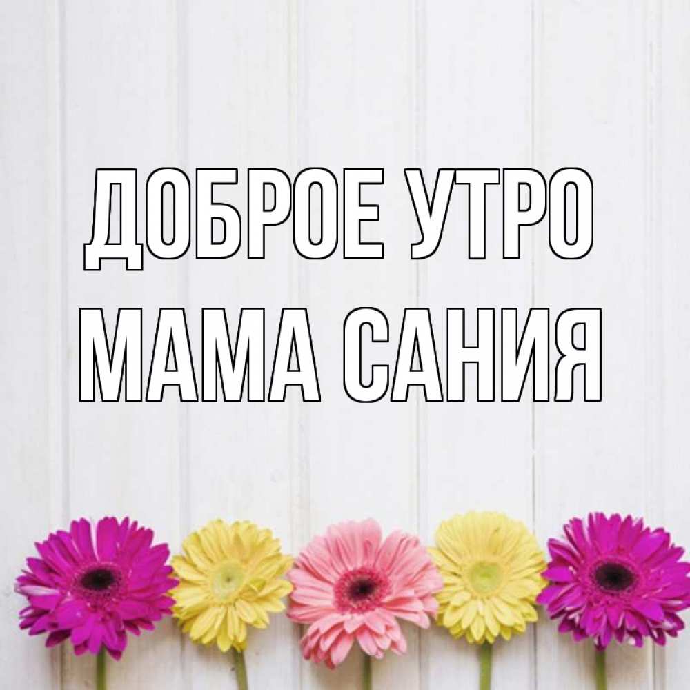 Открытка на каждый день с именем, Мама-Сания Доброе утро красный желтый и розовый цветок Прикольная открытка с пожеланием онлайн скачать бесплатно 