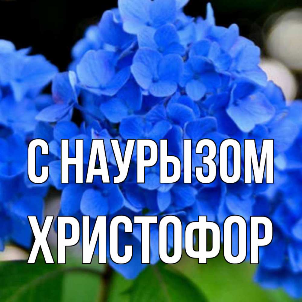 Открытка на каждый день с именем, Христофор С наурызом синие цветы Прикольная открытка с пожеланием онлайн скачать бесплатно 