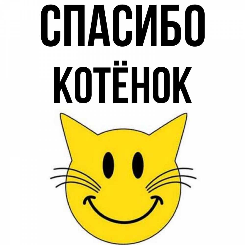 Котик спасибо