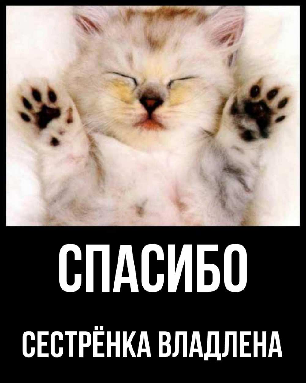 Открытка спасибо с котиком