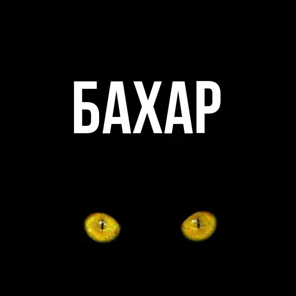 Открытка на каждый день с именем, Бахар Главная сладких снов бесстрашный мой дружочек Прикольная открытка с пожеланием онлайн скачать бесплатно 