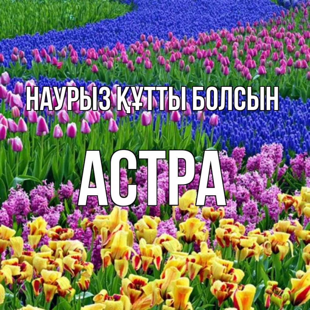 Открытка на каждый день с именем, Астра Наурыз құтты болсын цветы Прикольная открытка с пожеланием онлайн скачать бесплатно 
