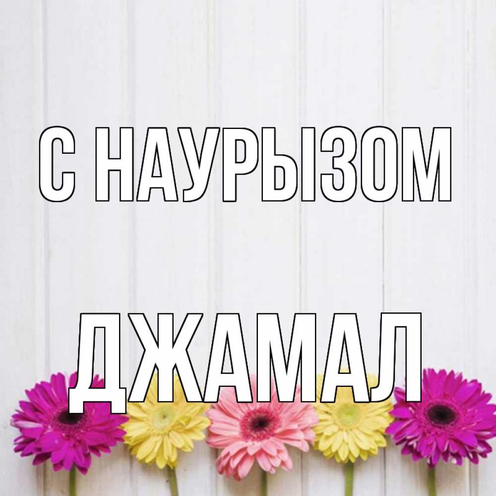 Открытка на каждый день с именем, Джамал С наурызом женщинам 1 Прикольная открытка с пожеланием онлайн скачать бесплатно 