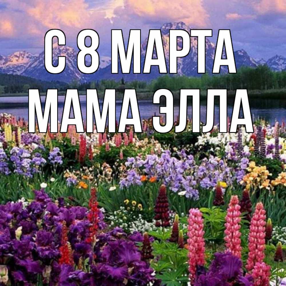 Открытка на каждый день с именем, Мама-Элла С 8 МАРТА международный женский день Прикольная открытка с пожеланием онлайн скачать бесплатно 