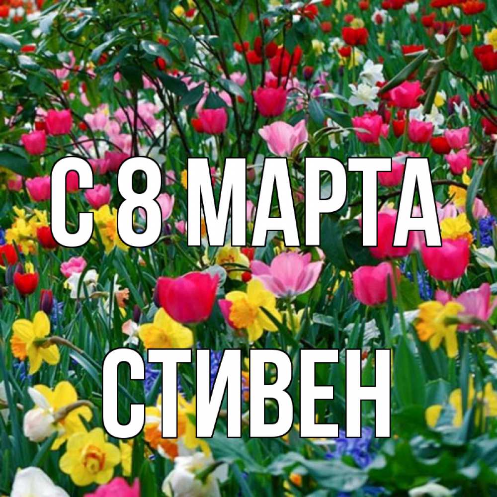 Открытка на каждый день с именем, Стивен С 8 МАРТА с международным женским днем поздравления для женщины Прикольная открытка с пожеланием онлайн скачать бесплатно 
