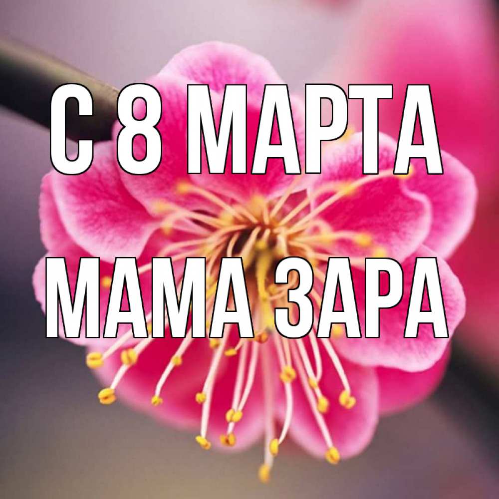 Картинка С 8 МАРТА, Мама Зара