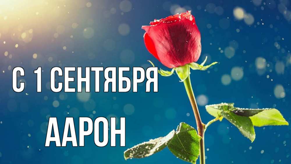Открытка на каждый день с именем, Аарон С 1 сентября с днем знаний Прикольная открытка с пожеланием онлайн скачать бесплатно 