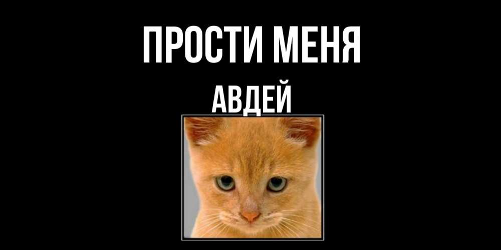Открытка на каждый день с именем, Авдей Прости меня рыжий грустный кот просит прощения Прикольная открытка с пожеланием онлайн скачать бесплатно 