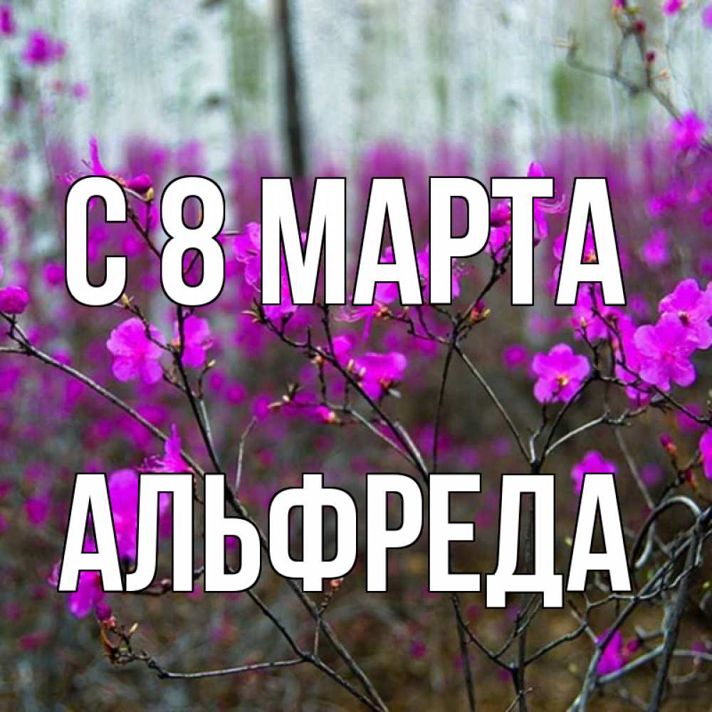 Открытка на каждый день с именем, Альфреда С 8 МАРТА дикие цветы Прикольная открытка с пожеланием онлайн скачать бесплатно 