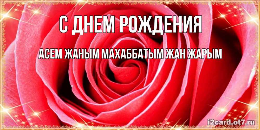 Открытка на каждый день с именем, Асем-жаным-Махаббатым-жан-жарым С днем рождения розовая роза очень крупный бутон Прикольная открытка с пожеланием онлайн скачать бесплатно 