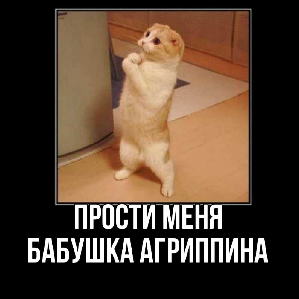 Открытка на каждый день с именем, Бабушка-Агриппина Прости меня открытка с милым несчастным котиком просящим прощения Прикольная открытка с пожеланием онлайн скачать бесплатно 