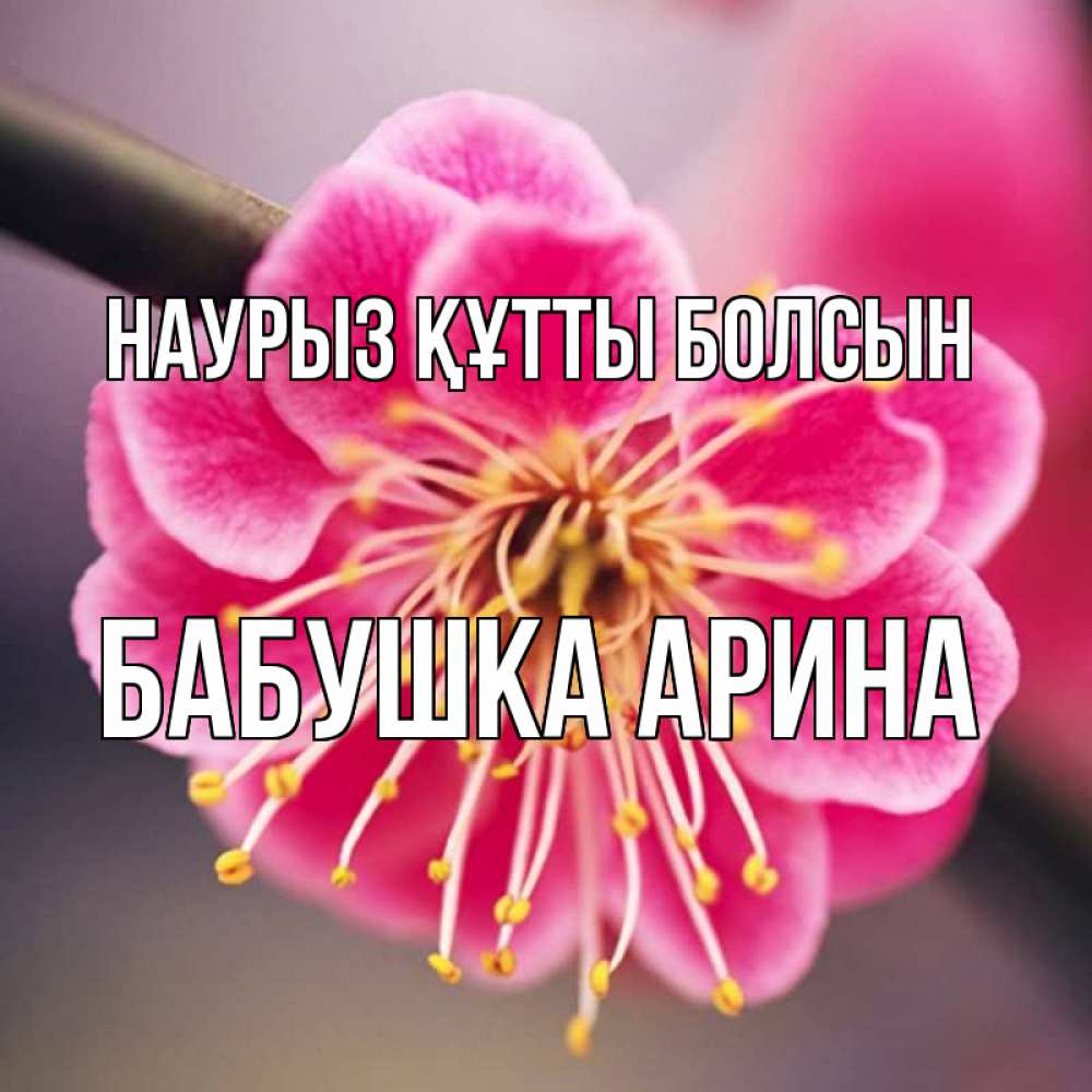 Открытка на каждый день с именем, Бабушка-Арина Наурыз құтты болсын цветы Прикольная открытка с пожеланием онлайн скачать бесплатно 