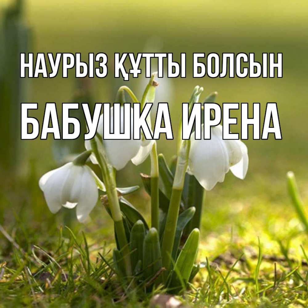 Открытка на каждый день с именем, Бабушка-Ирена Наурыз құтты болсын ранние цветы 2 Прикольная открытка с пожеланием онлайн скачать бесплатно 