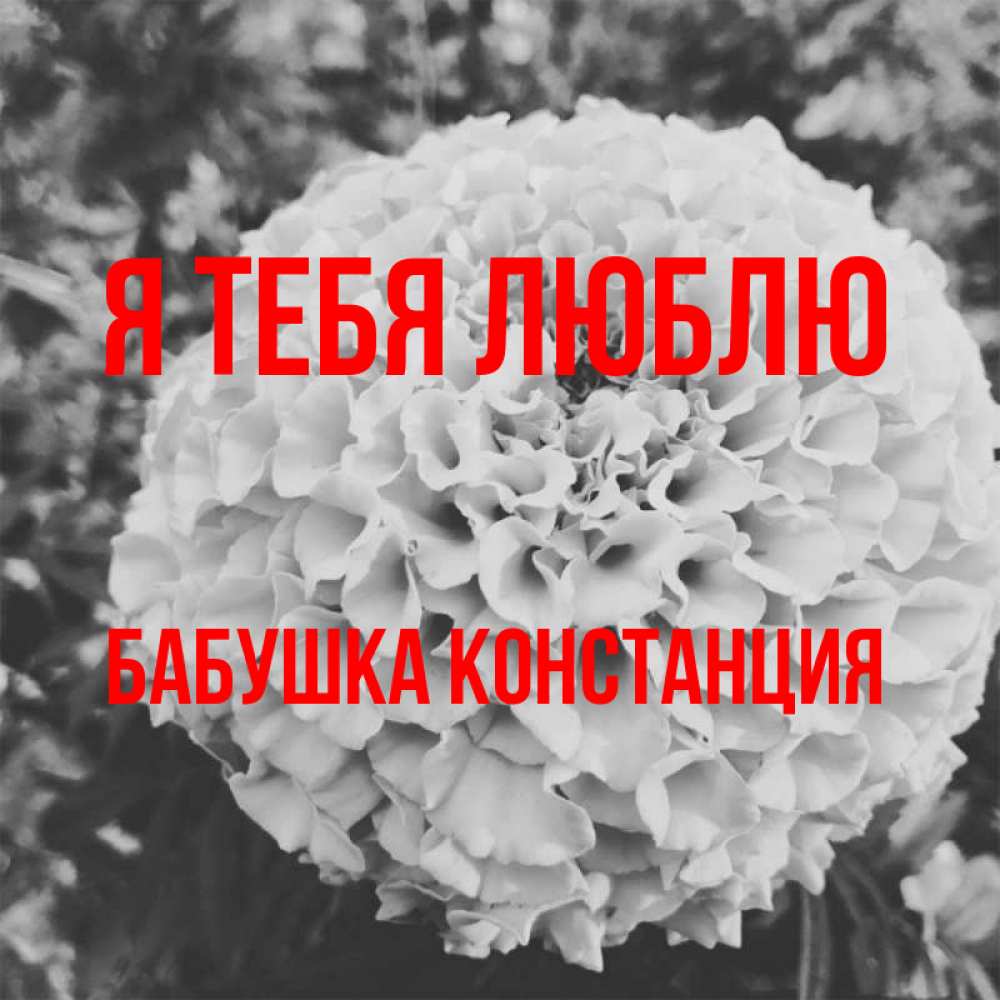 Открытка на каждый день с именем, Бабушка-Констанция Я тебя люблю подпись Прикольная открытка с пожеланием онлайн скачать бесплатно 