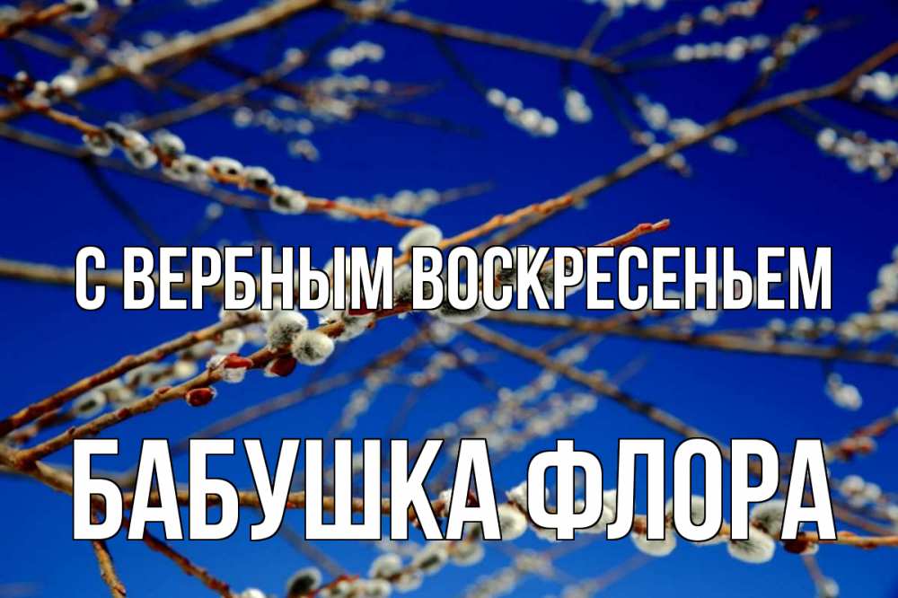 Открытка на каждый день с именем, Бабушка-Флора С вербным воскресеньем верба Прикольная открытка с пожеланием онлайн скачать бесплатно 