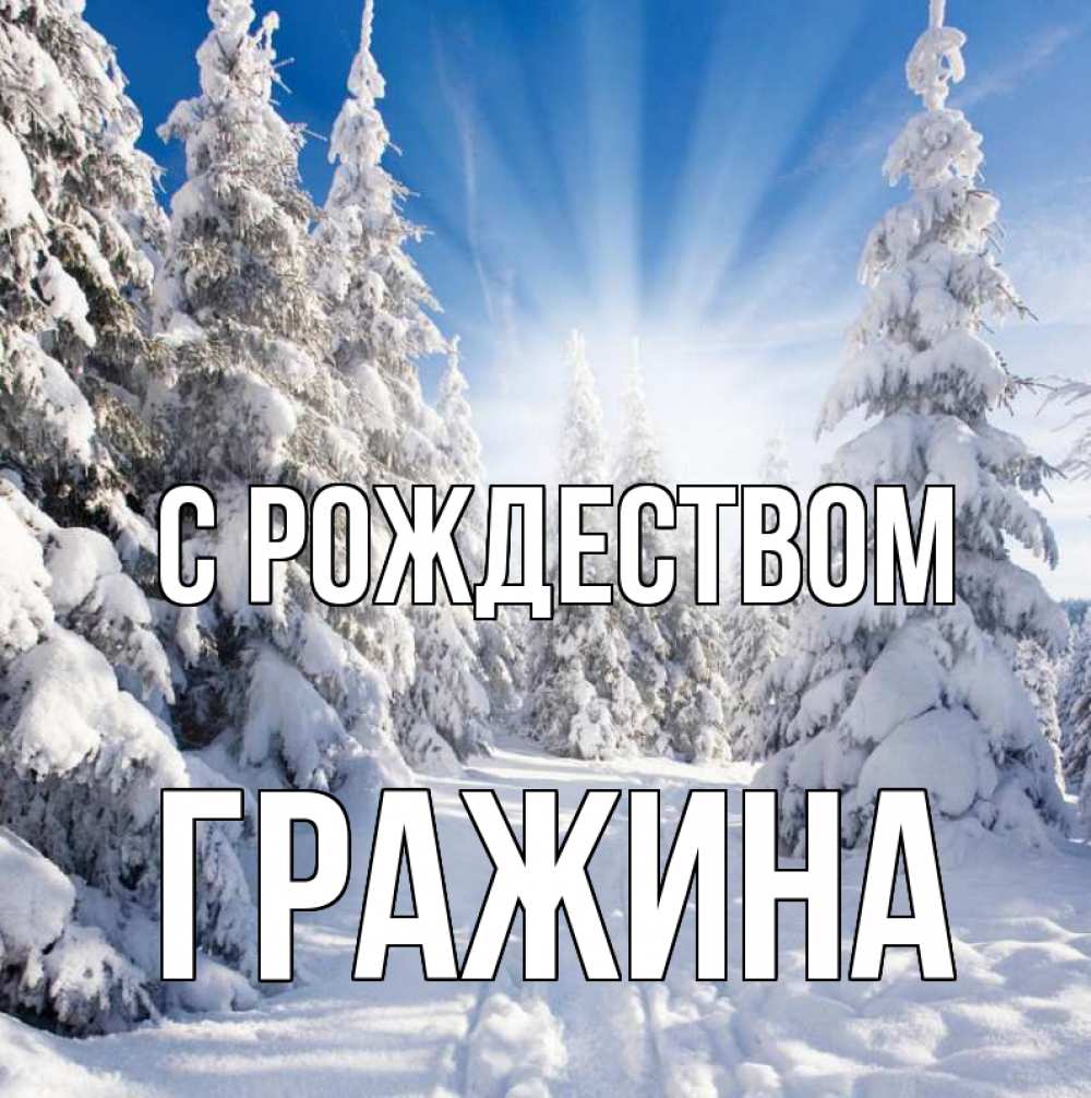 Открытка на каждый день с именем, Гражина С рождеством зима, лес Прикольная открытка с пожеланием онлайн скачать бесплатно 