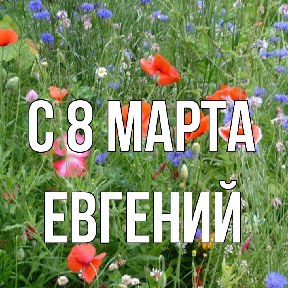 Открытка на каждый день с именем, Евгений С 8 МАРТА международный женский день 4 Прикольная открытка с пожеланием онлайн скачать бесплатно 