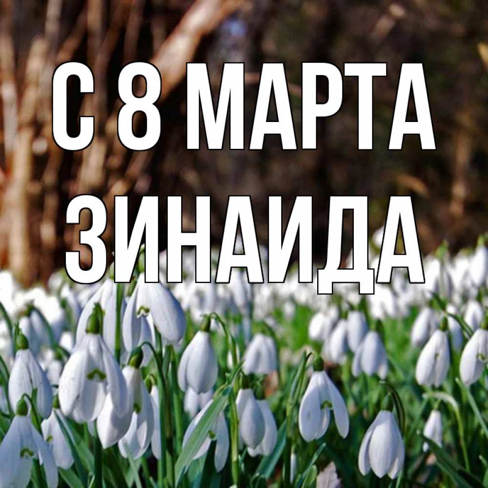 Открытка на каждый день с именем, Зинаида С 8 МАРТА с подснежниками 1 Прикольная открытка с пожеланием онлайн скачать бесплатно 