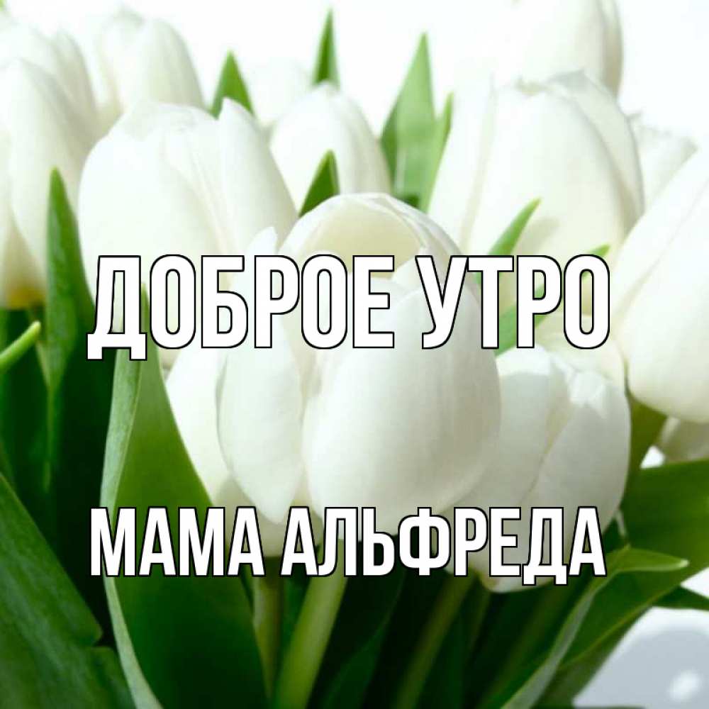 Открытка на каждый день с именем, Мама-Альфреда Доброе утро открытки на каждый день по именам Прикольная открытка с пожеланием онлайн скачать бесплатно 