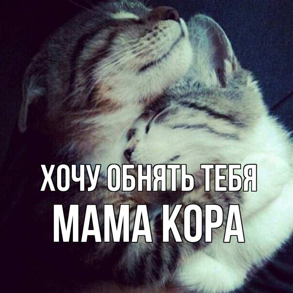 Открытка на каждый день с именем, Мама-Кора Хочу обнять тебя полосатики Прикольная открытка с пожеланием онлайн скачать бесплатно 