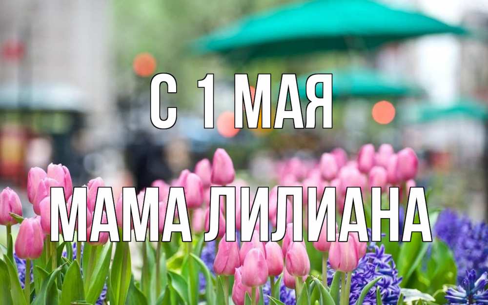 Открытка на каждый день с именем, Мама-Лилиана С 1 мая С 1 мая Прикольная открытка с пожеланием онлайн скачать бесплатно 